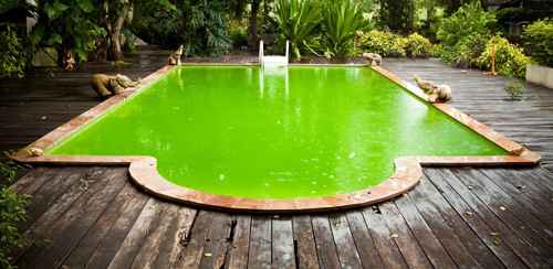 comment supprimer l'eau verte de votre piscine