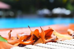 feuilles piscine remise en service de la piscine